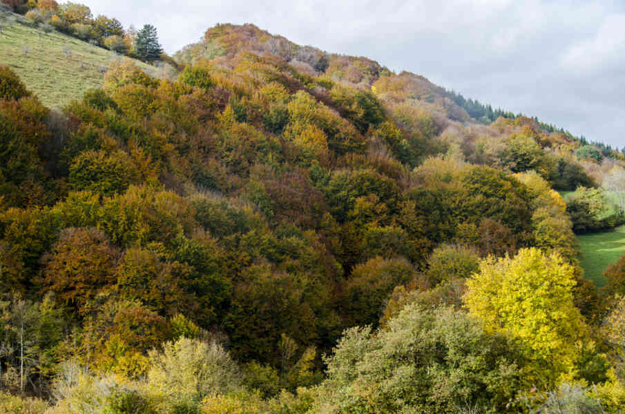 Comunidad Foral de Navarra 190 - valle de Aezkoa.jpg